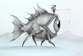 David Griessel, Insomnia Fish
