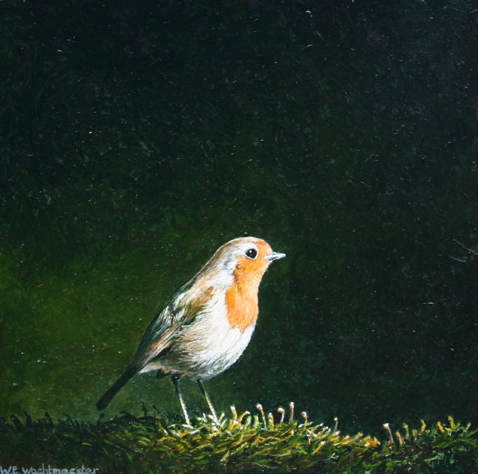 Wout Wachtmeester, "Mijmering", 2025