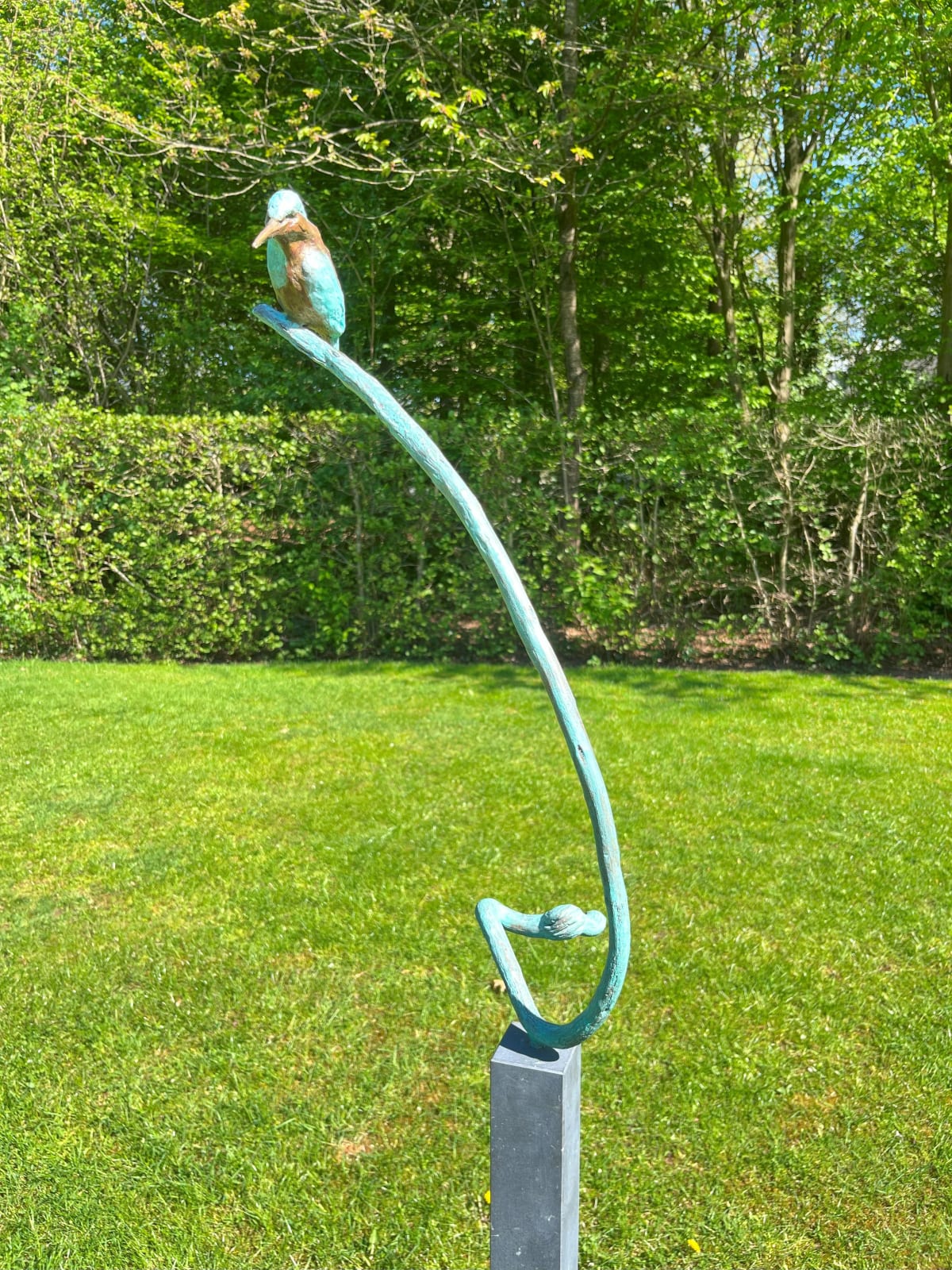 Jonneke Kodde, Zittende ijsvogel op gebogen tak