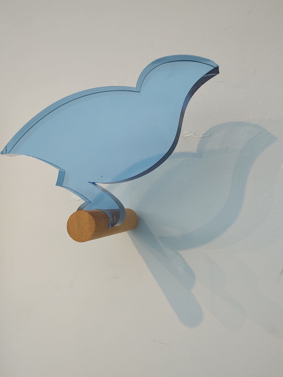 Margriet Barends, Vogels (diversen)