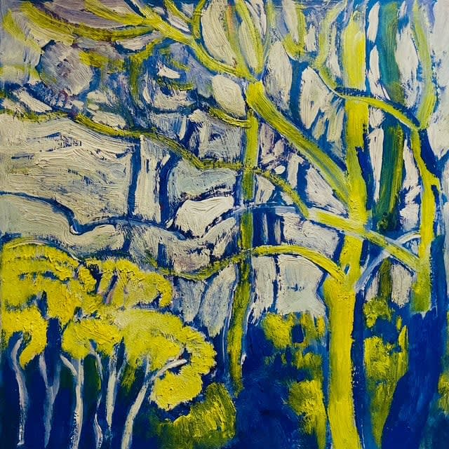 Daan van Velsen, Broekbos, 2024