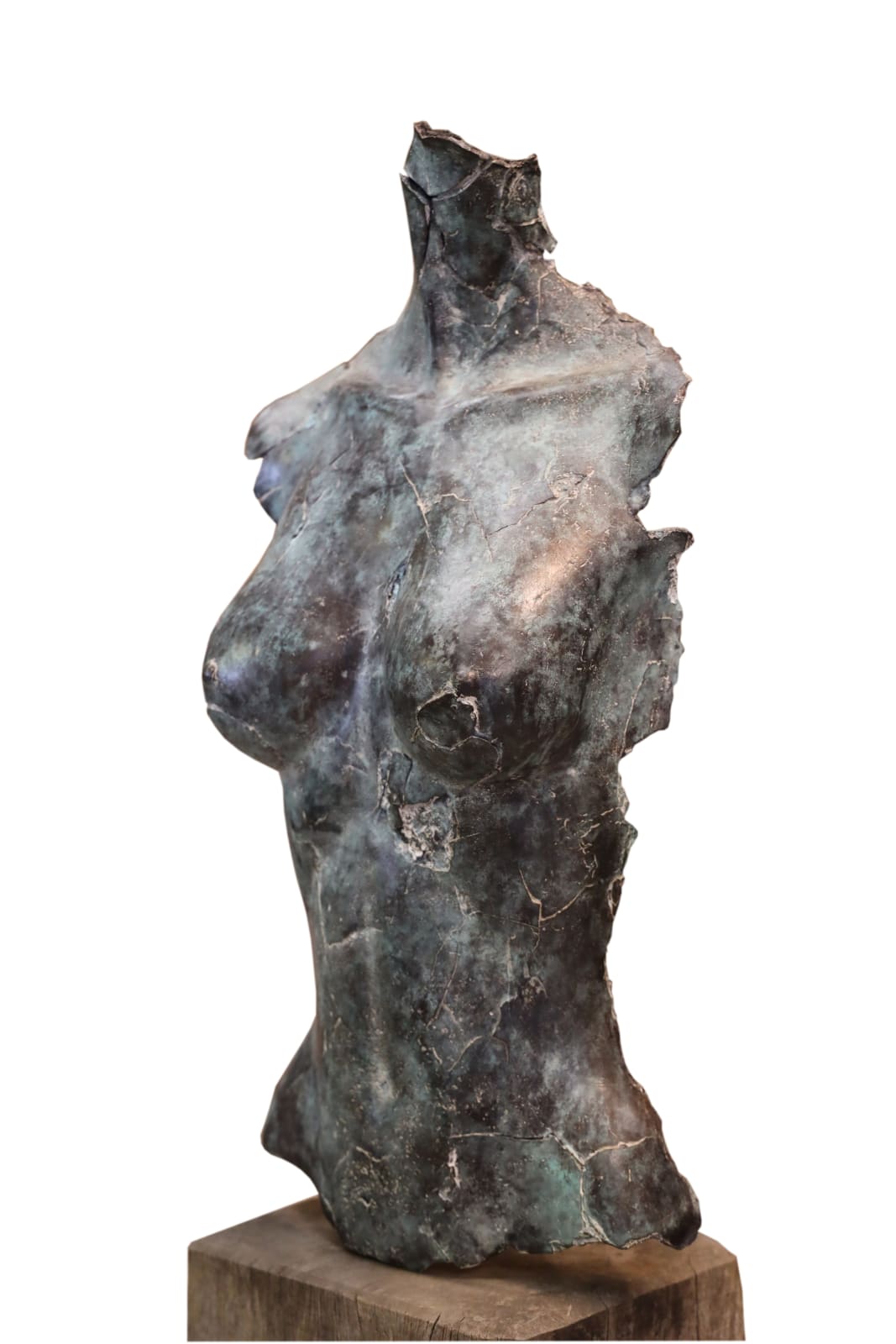Rob van de Broek, Gebroken vrouw