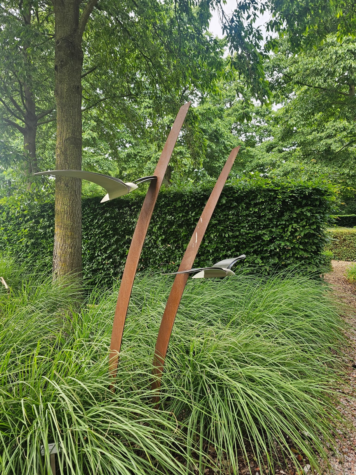 Marcel Timmers, Ross Blade M