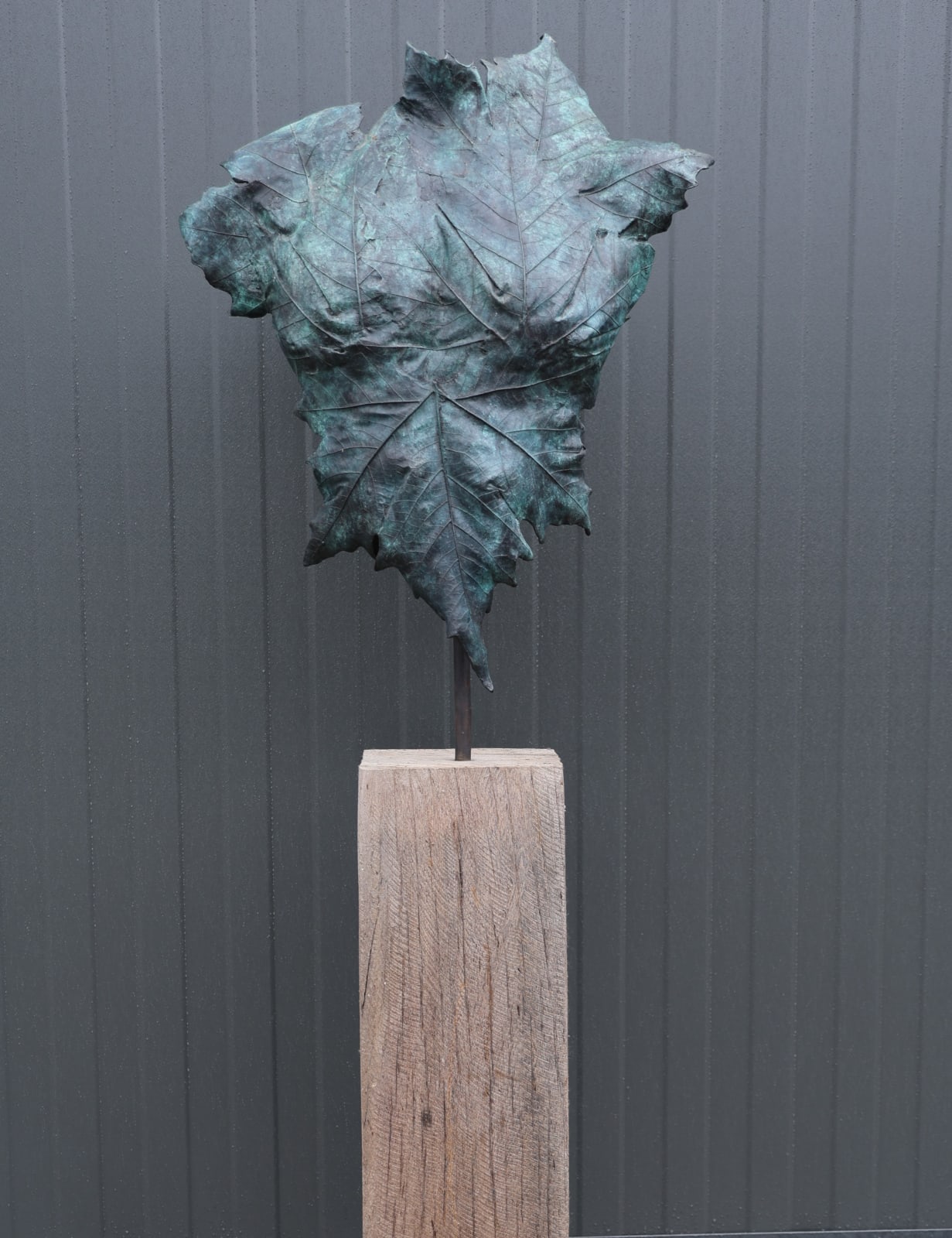Rob van de Broek, Kleine bladman