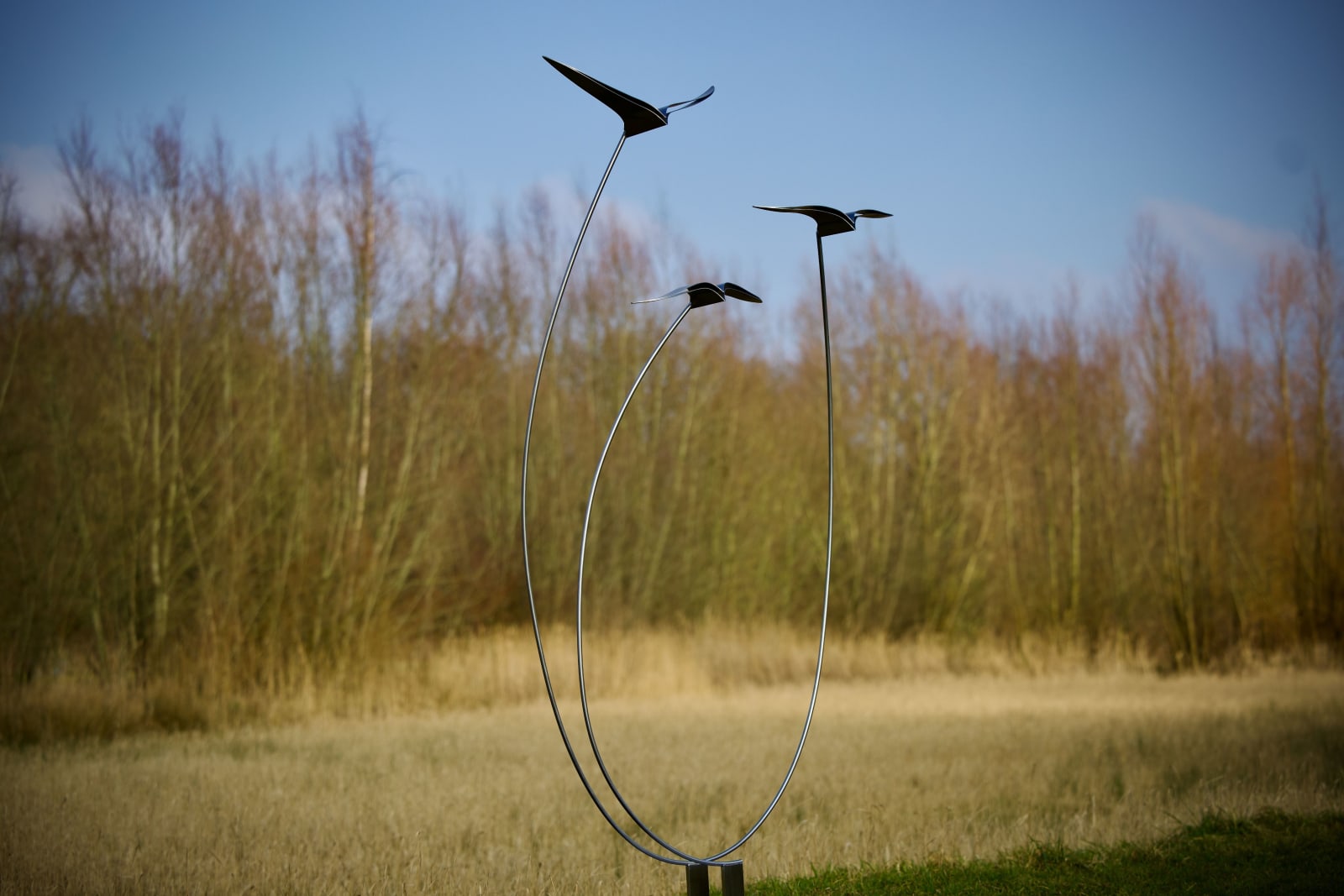 Marcel Timmers, Swirl Gale XL