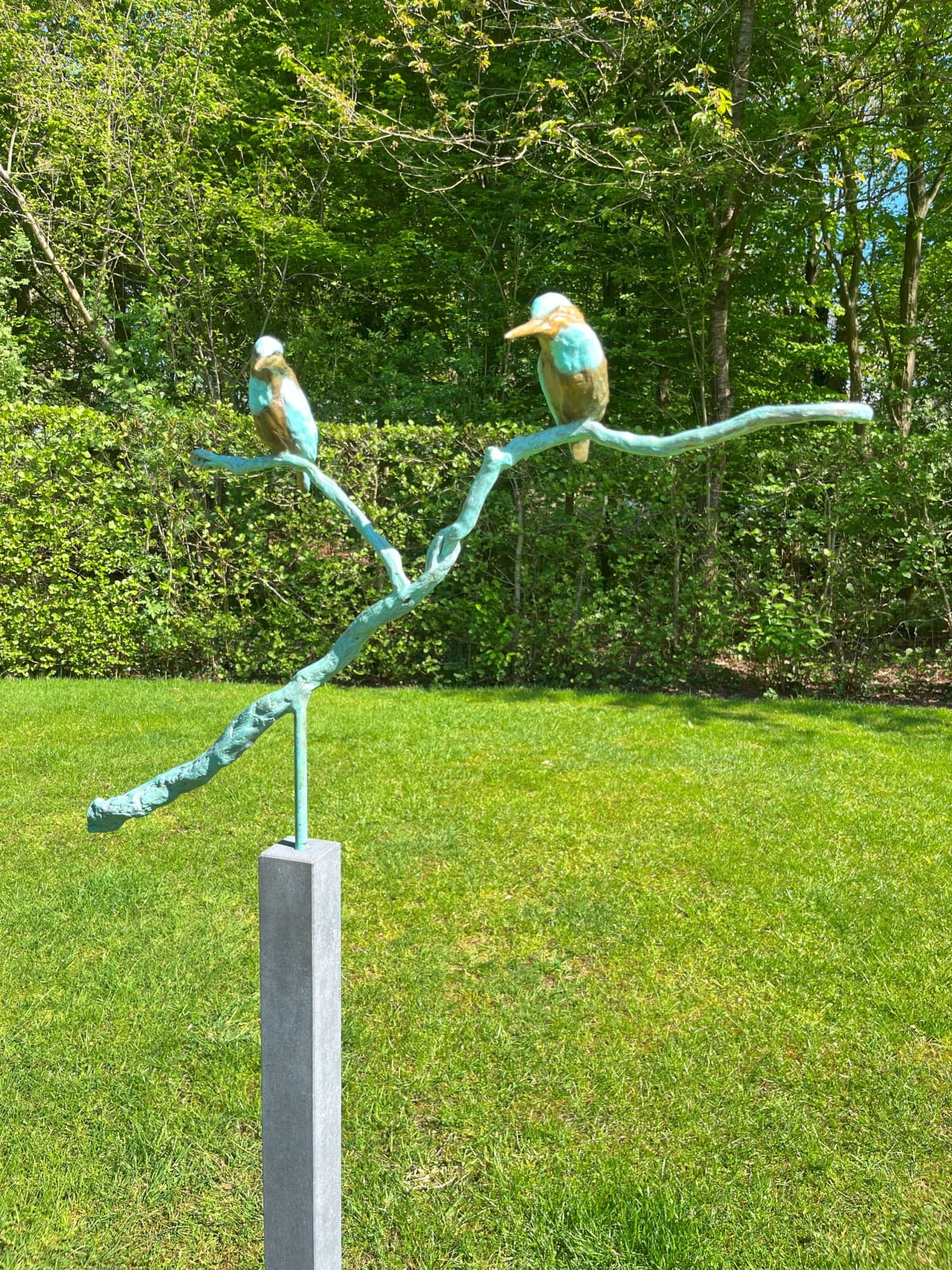 Jonneke Kodde, Twee zittende ijsvogels op een tak