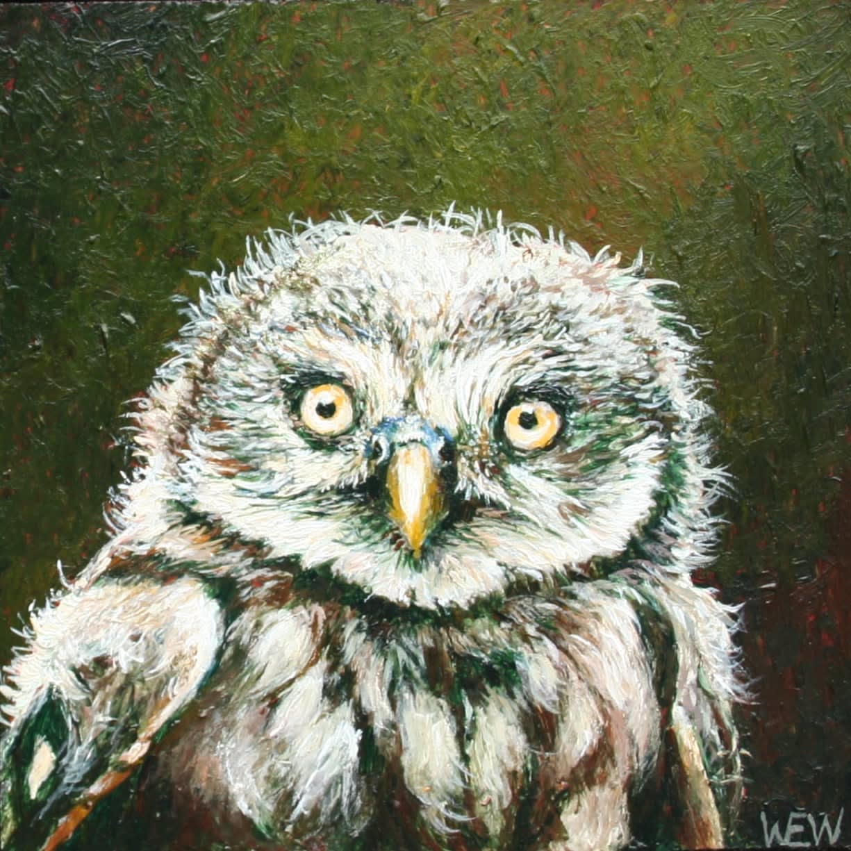 Wout Wachtmeester, "Dreutelig", 2025