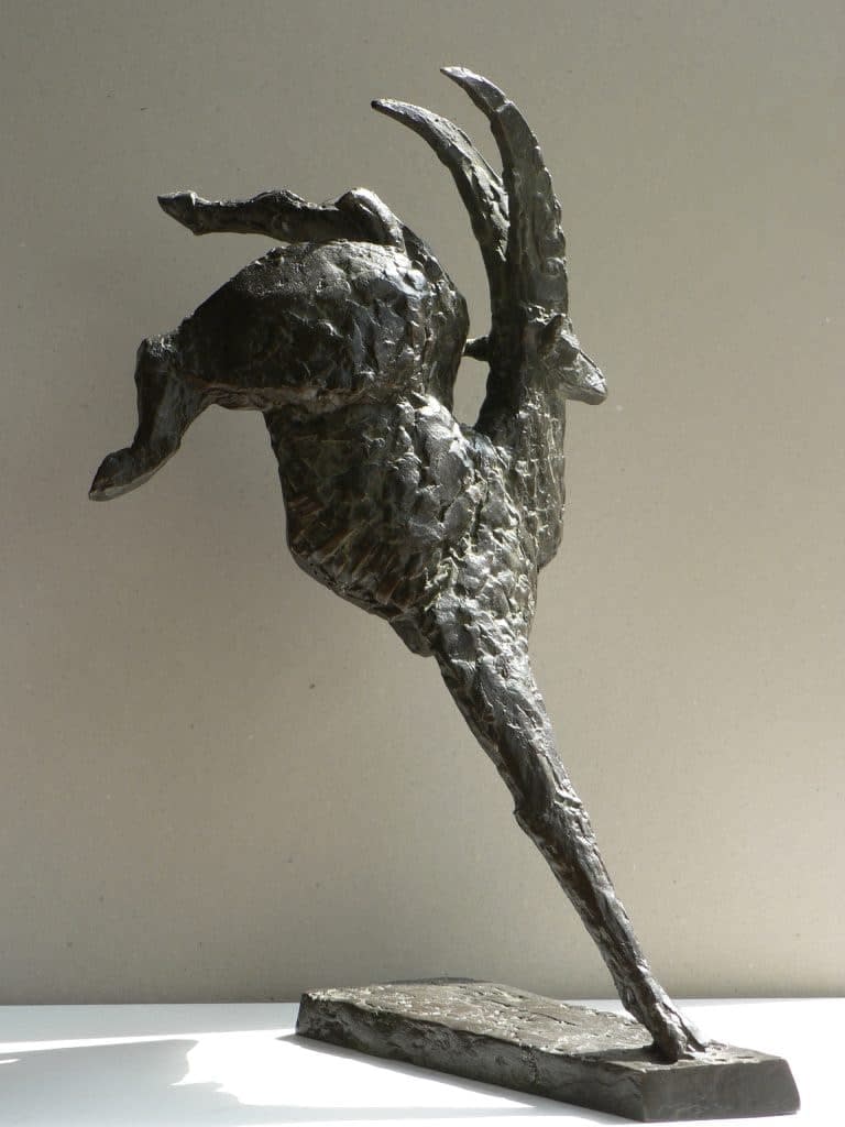 Antoinette Briët, Ibex , 2012