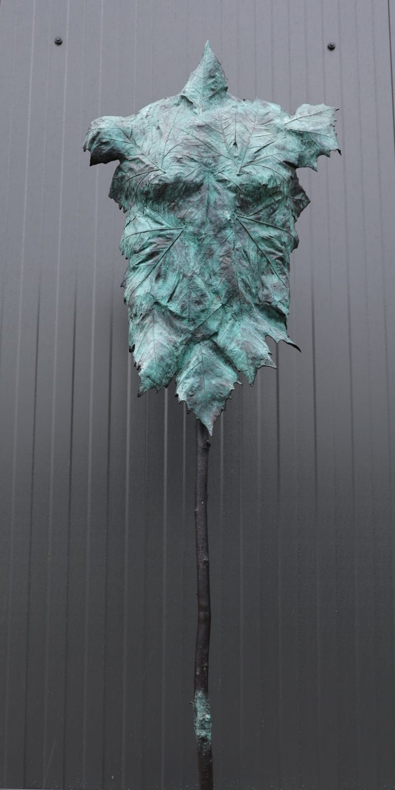 Rob van de Broek, Bladman