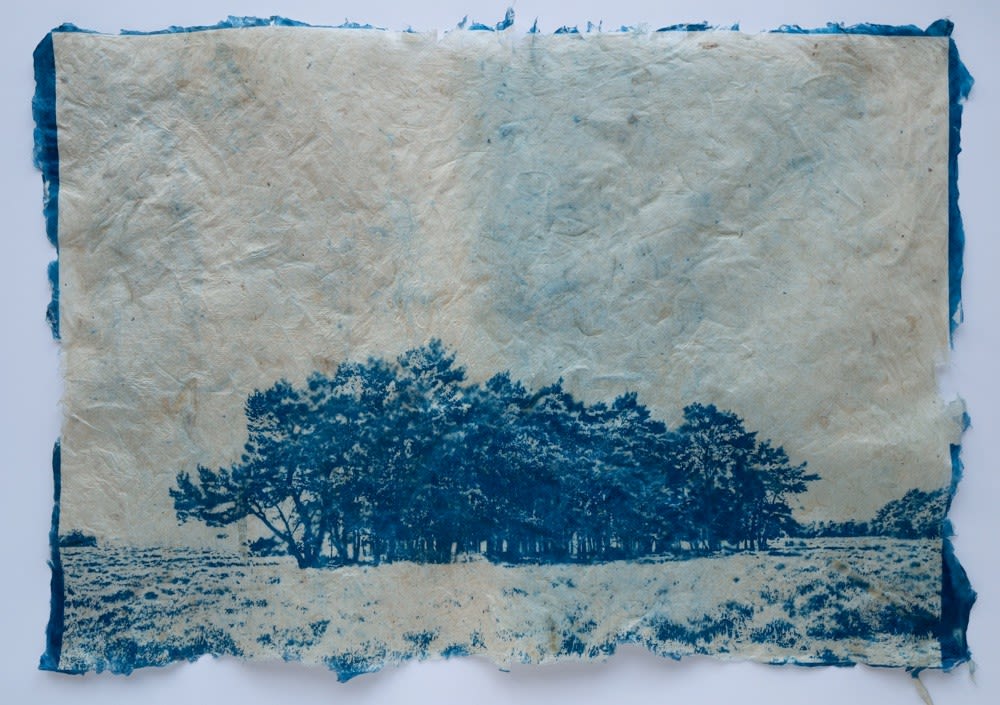 Mika Horie, This is how pine trees and dinosaurs were born, 2022