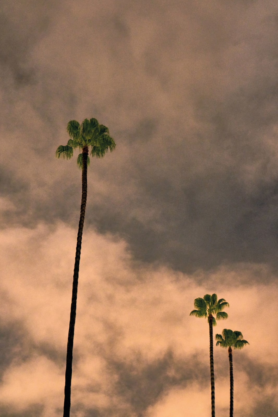 Philipp Keel, Seville, 2018