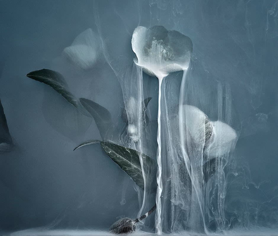 Danielle Kwaaitaal, Après Nous le Deluge Series - Avalange, 2015