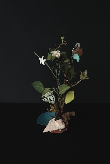 Thirza Schaap, japonais too, 2018