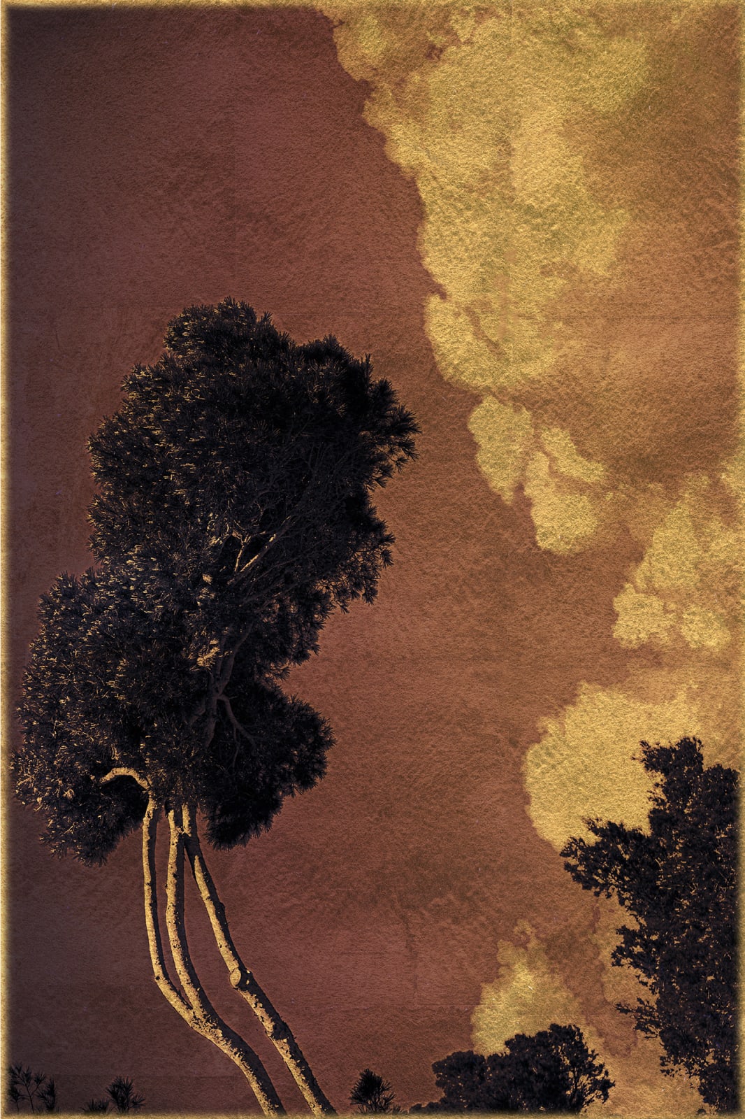 Albarrán Cabrera, The Mouth of Krishna #825