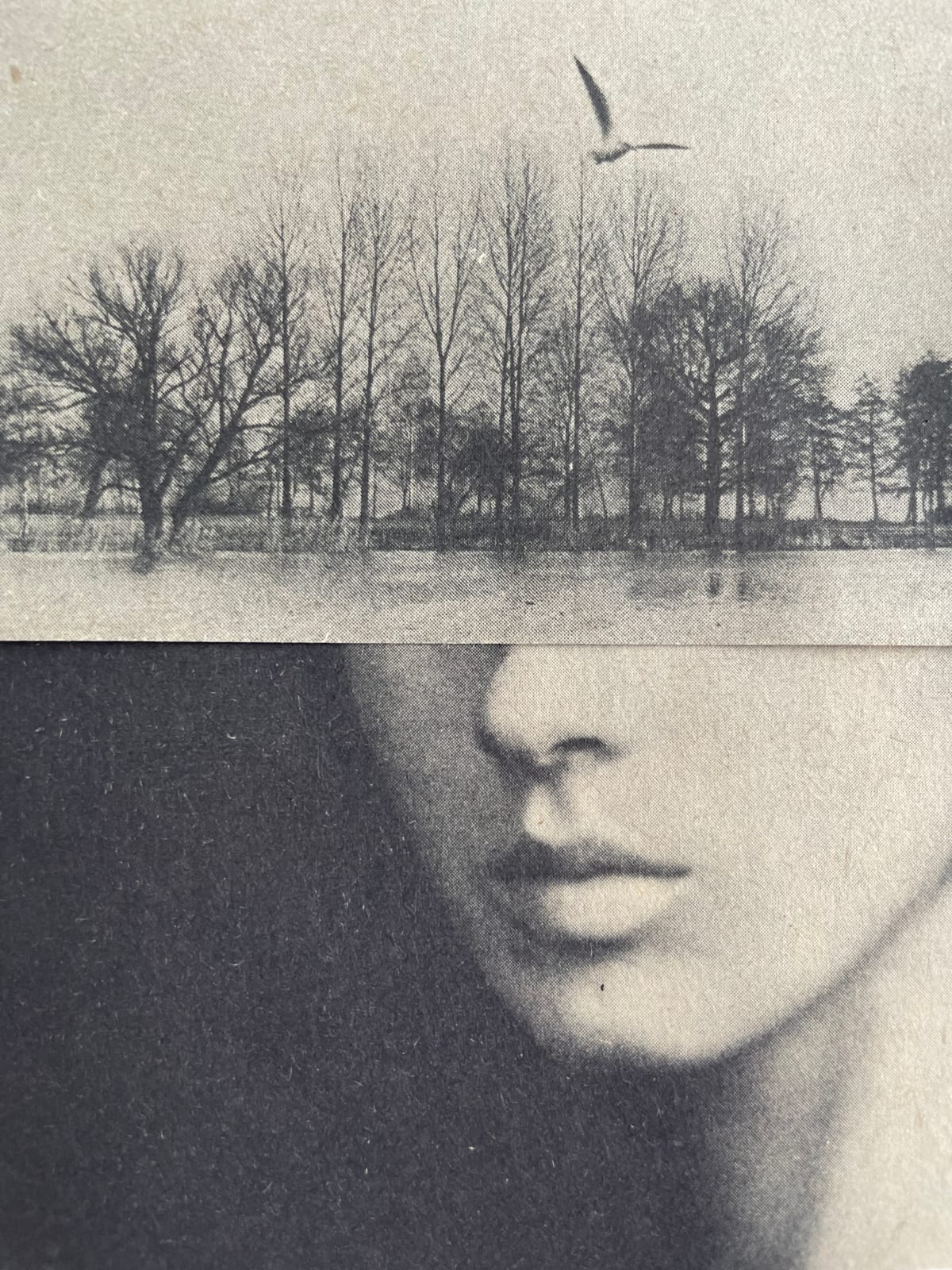 Miriam Tölke, Snapshot, 2022