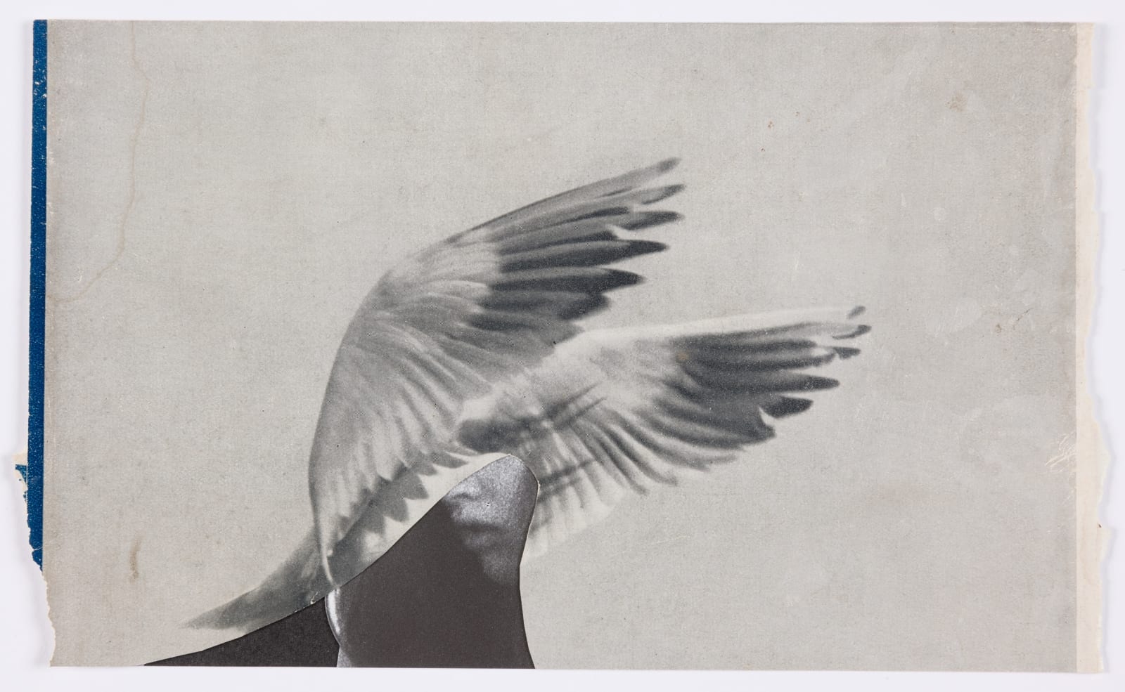 Miriam Tölke, Fan Out, 2021