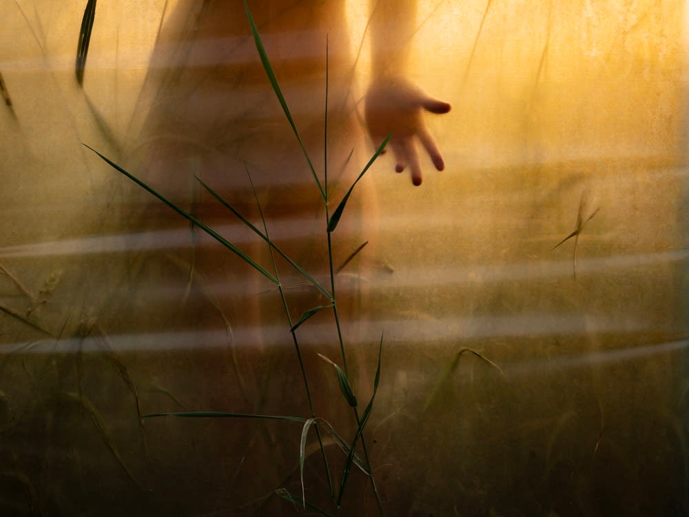 Cig Harvey, August Sunset (Emily), Rockport, Maine, 2024