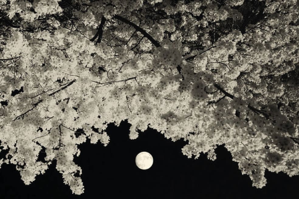 Paul Cupido, Moon Addict II, 2021