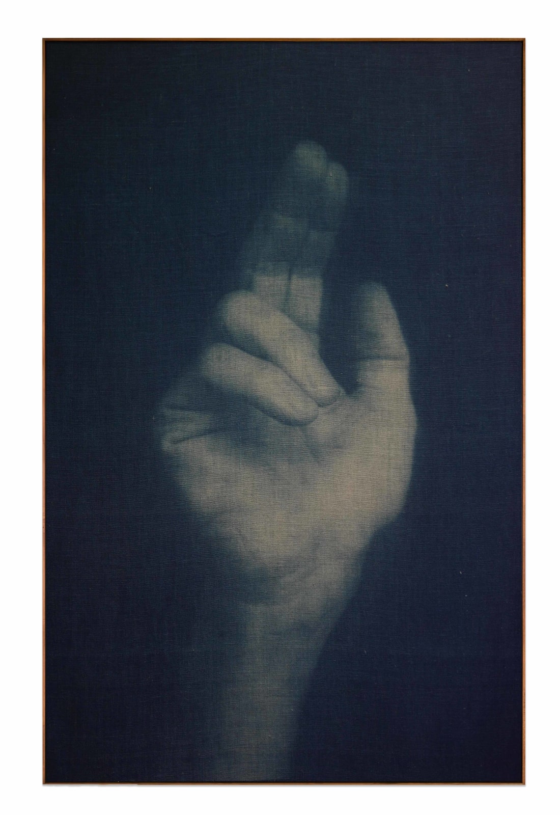Adam Jeppesen, Work no. 162, from the series The Pond, 2025