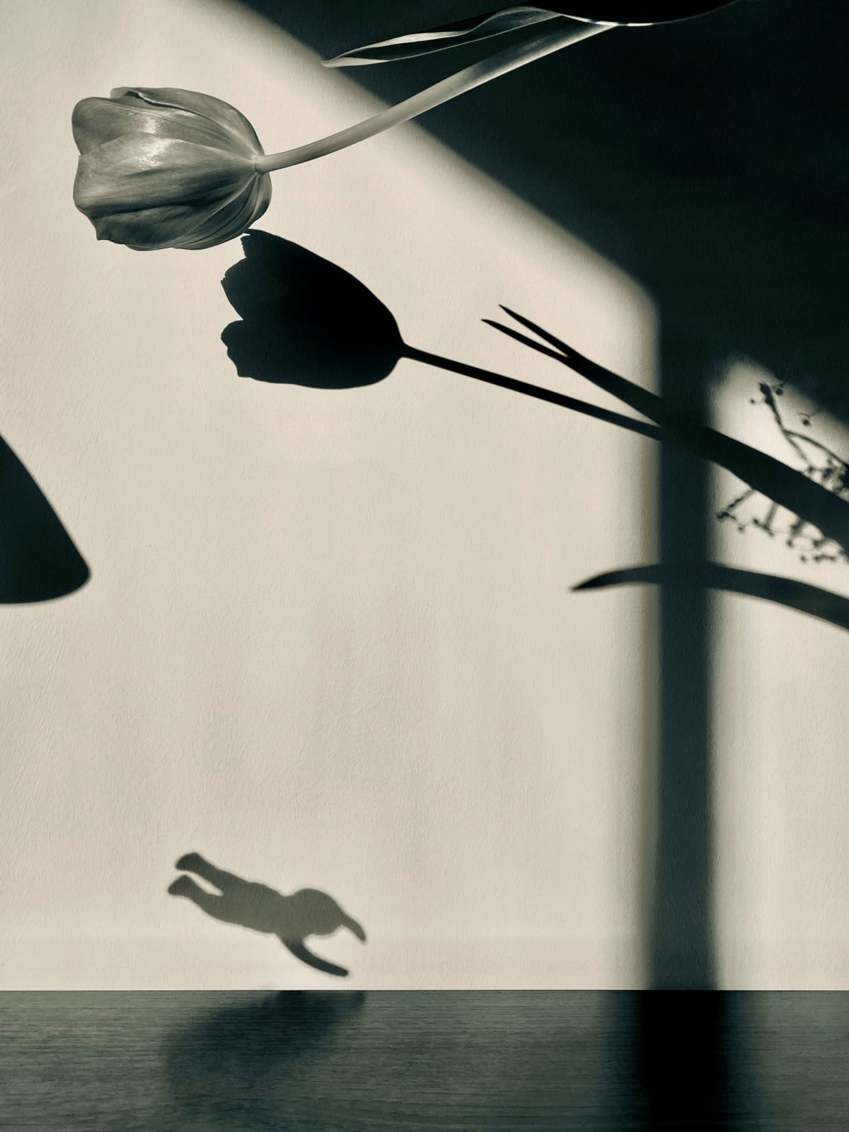 Philipp Keel, Little Man, 2020