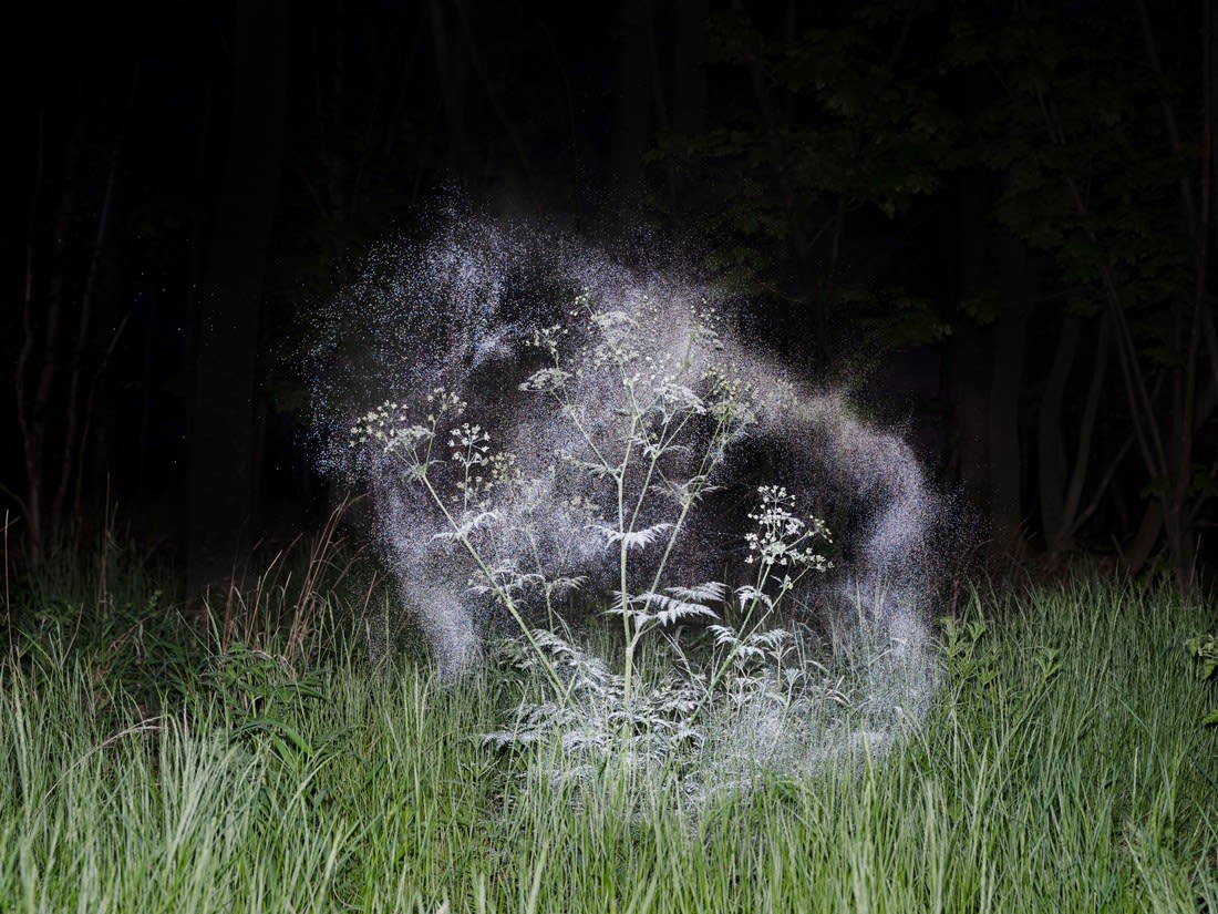 Inka & Niclas, Luminous Matter XI, 2020