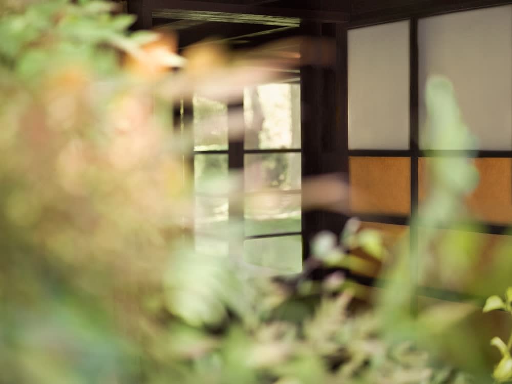 Mona Kuhn, Entrance, from the series Kings Road, 2021