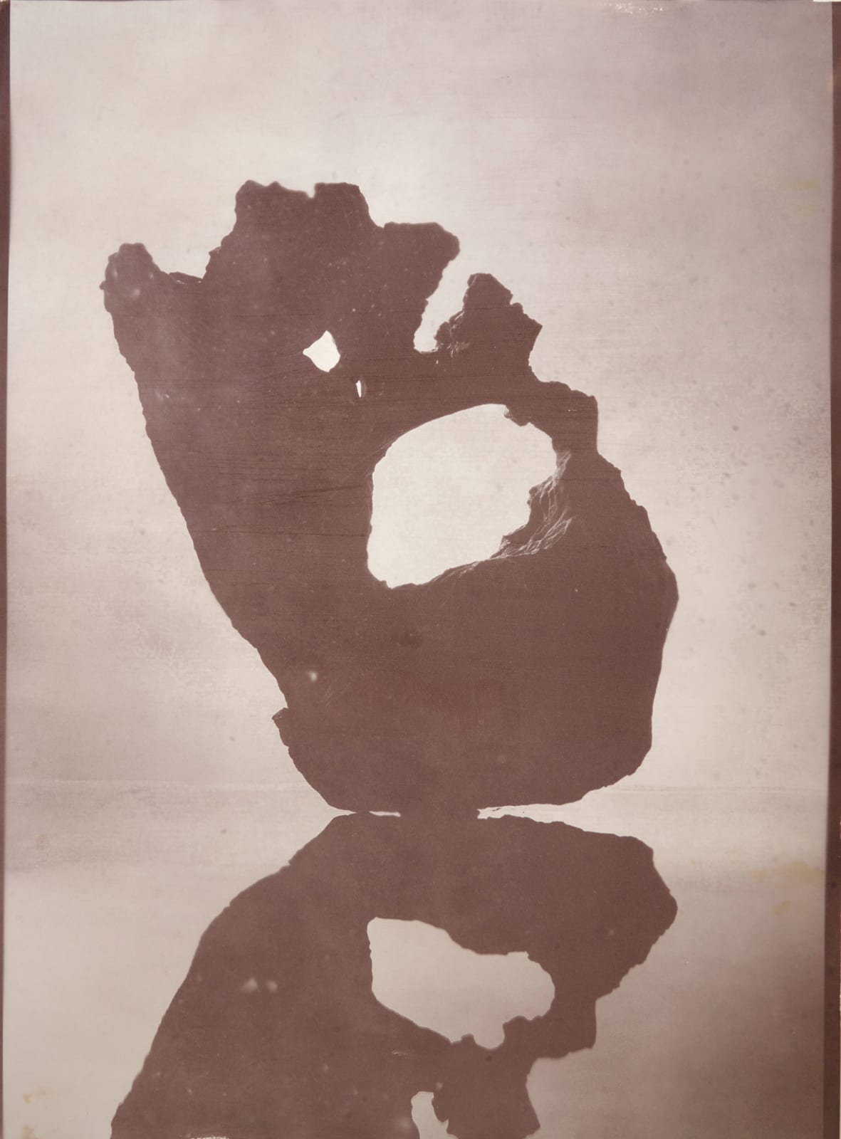 Douglas Mandry, Bruna, 2001/2022