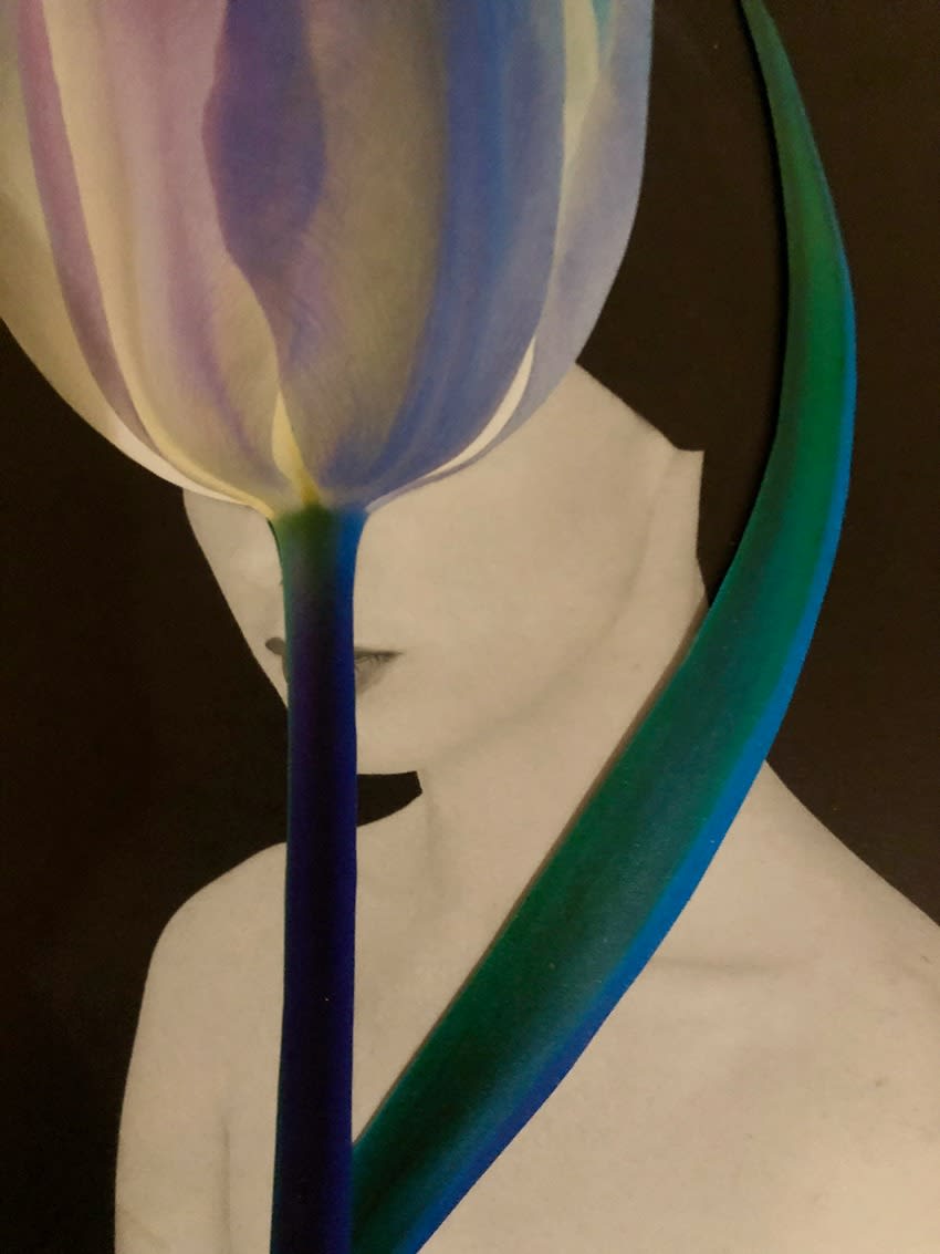 Miriam Tölke, Table Dance Nr. 86, 2023