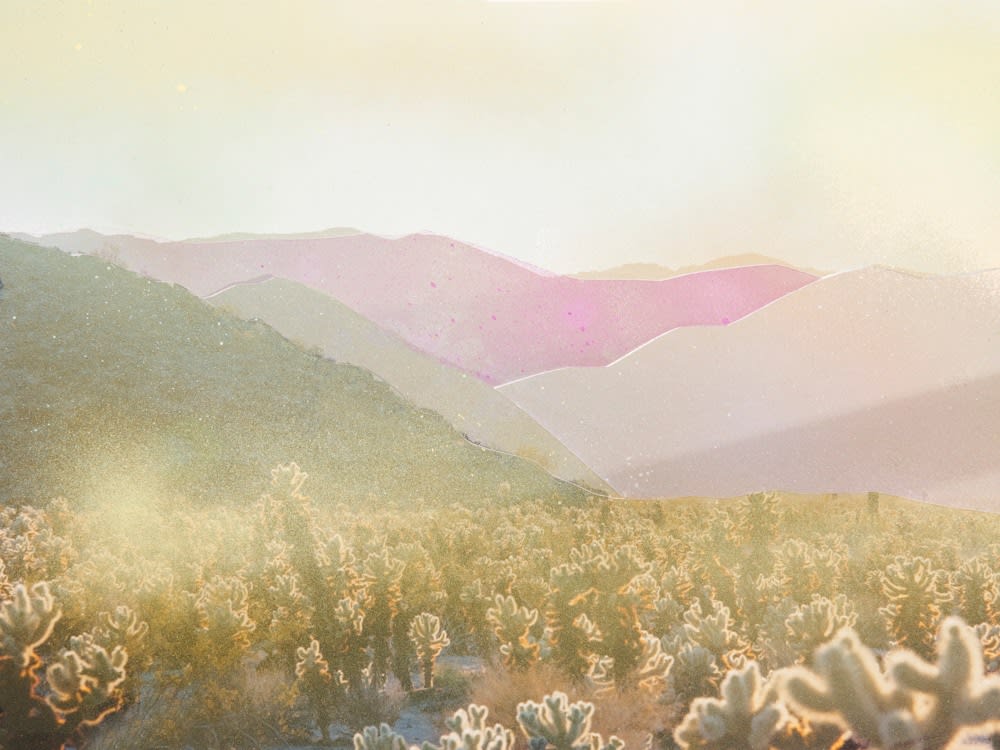 Douglas Mandry, Towards a pink promise, 2022