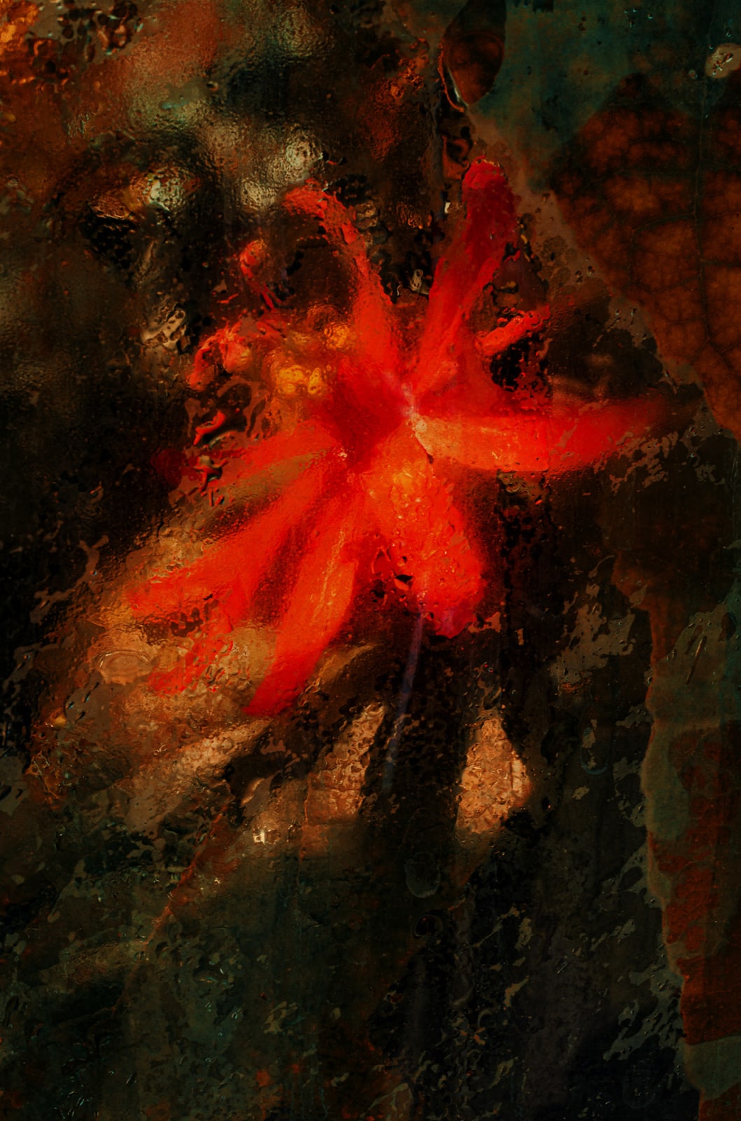 Albarrán Cabrera, The Mouth of Krishna #857, 2019