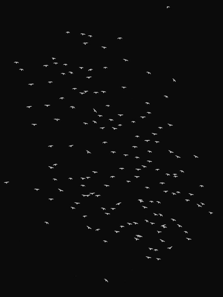 Kacper Kowalski, Arché #53, Poland, 2018