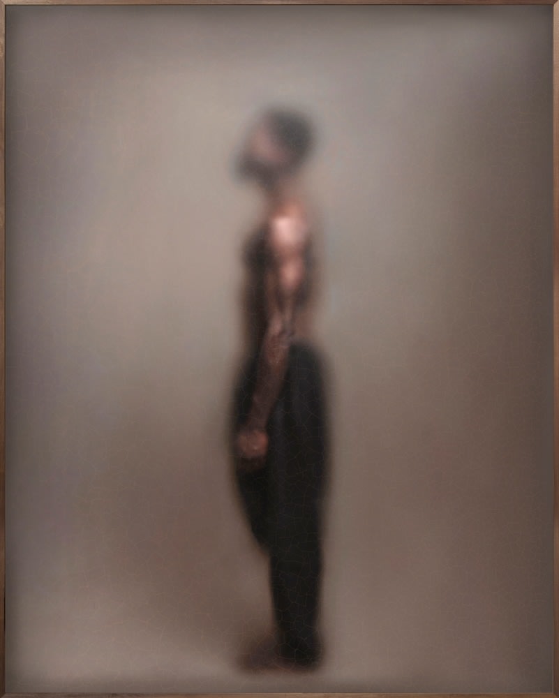 Casper Faassen, Variations Prince IV , 2021