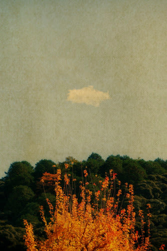 Albarrán Cabrera, The Mouth of Krishna #918, 2016