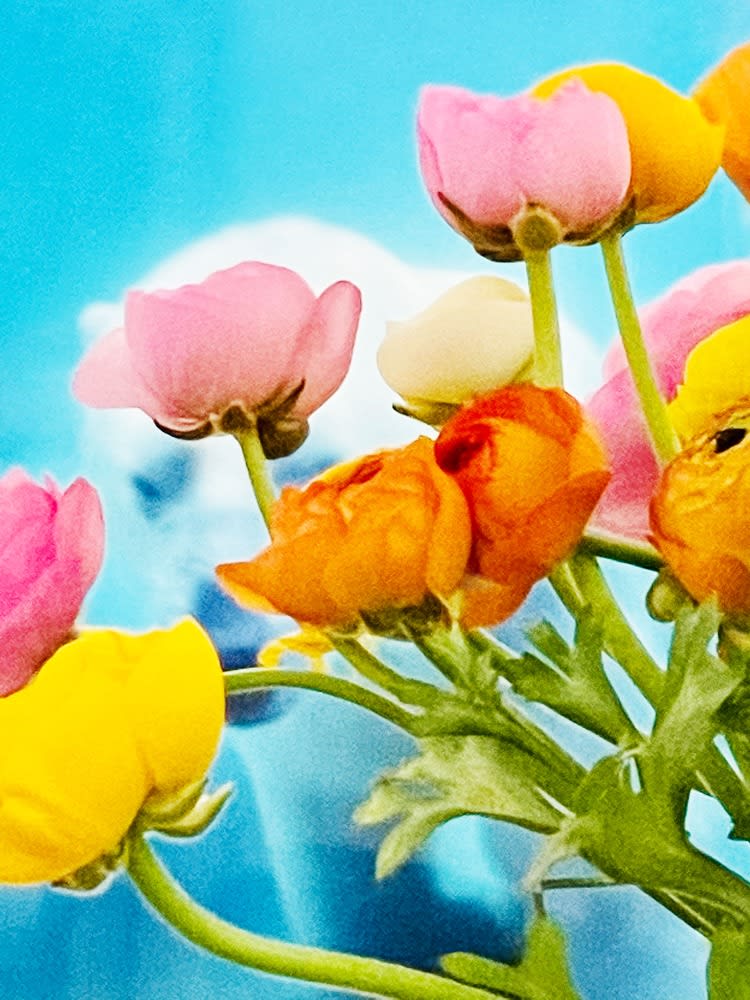 Philipp Keel, Bouquet, 2021