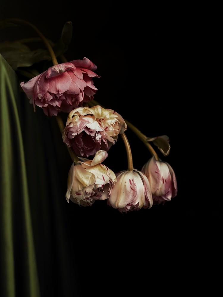 Ilona Langbroek, Unseen Memories #1, 2022