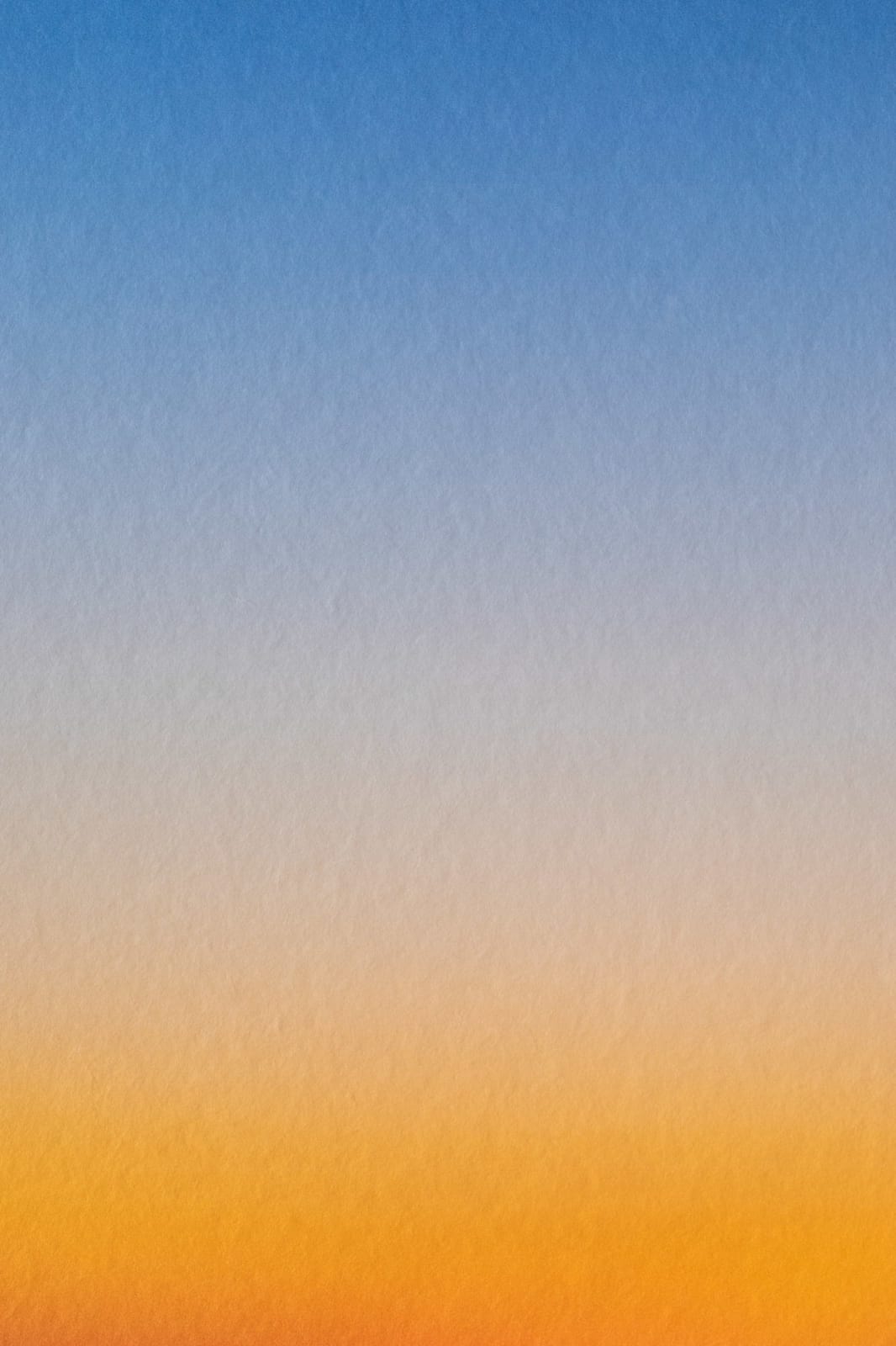 Onoko, Percept 118.18:03, US, 2019