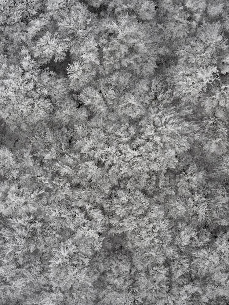 Kacper Kowalski, Depth of Winter #171, Poland, 2021