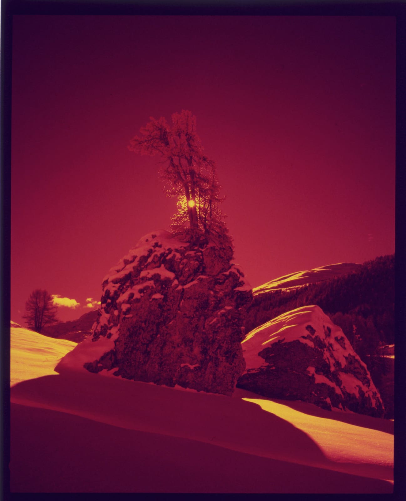 Simone Kappeler, Arve auf Felsbrocken I, Val Fex, 12.12.2022, 2022