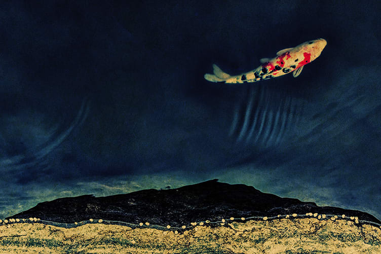 Albarrán Cabrera, The Mouth of Krishna #712, 2018