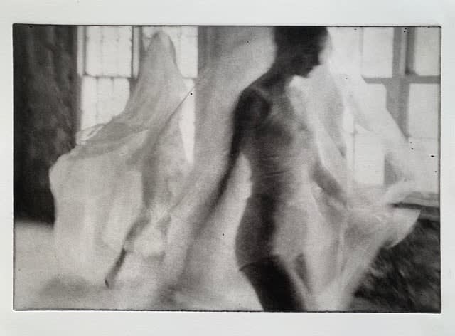 Chantal Elisabeth Ariëns, Nymphes #31, 2024