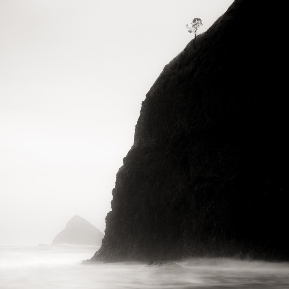 Jeffrey Conley, Lone Tree and Headland, Oregon, 2016
