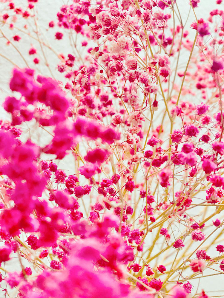 Philipp Keel, Full Bloom, 2021