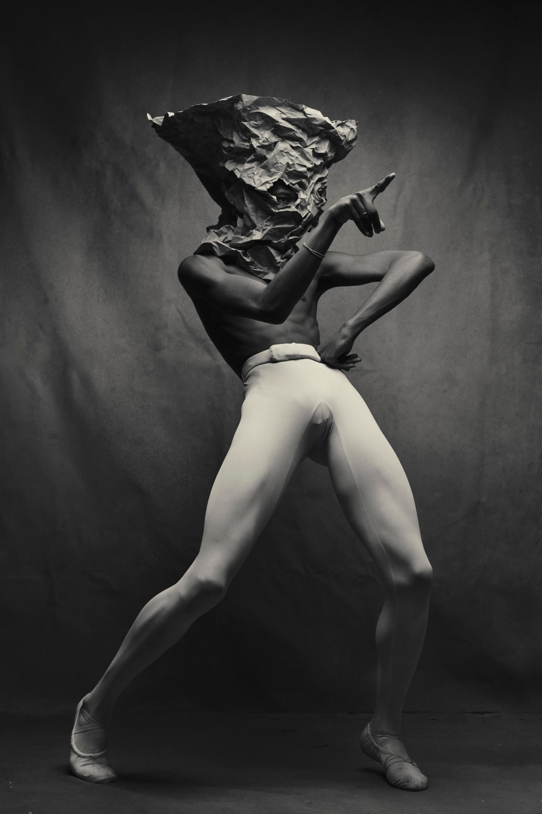 Pieter Henket, Hidden, from the series Birds of New York, 2019