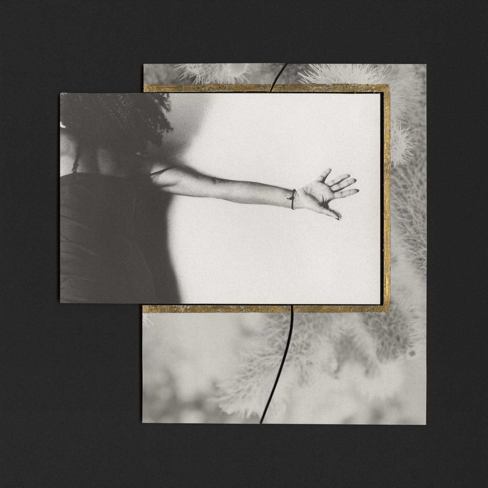 Margaret Lansink, Becoming V, 2023