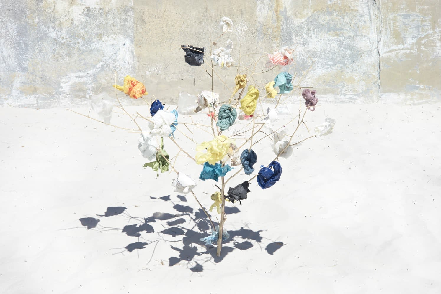 Thirza Schaap, black friday, 2018