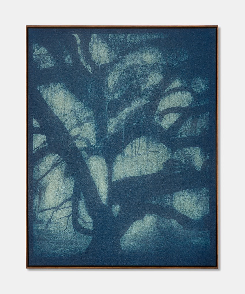 Adam Jeppesen, Work #17, from the series Mæra, 2024