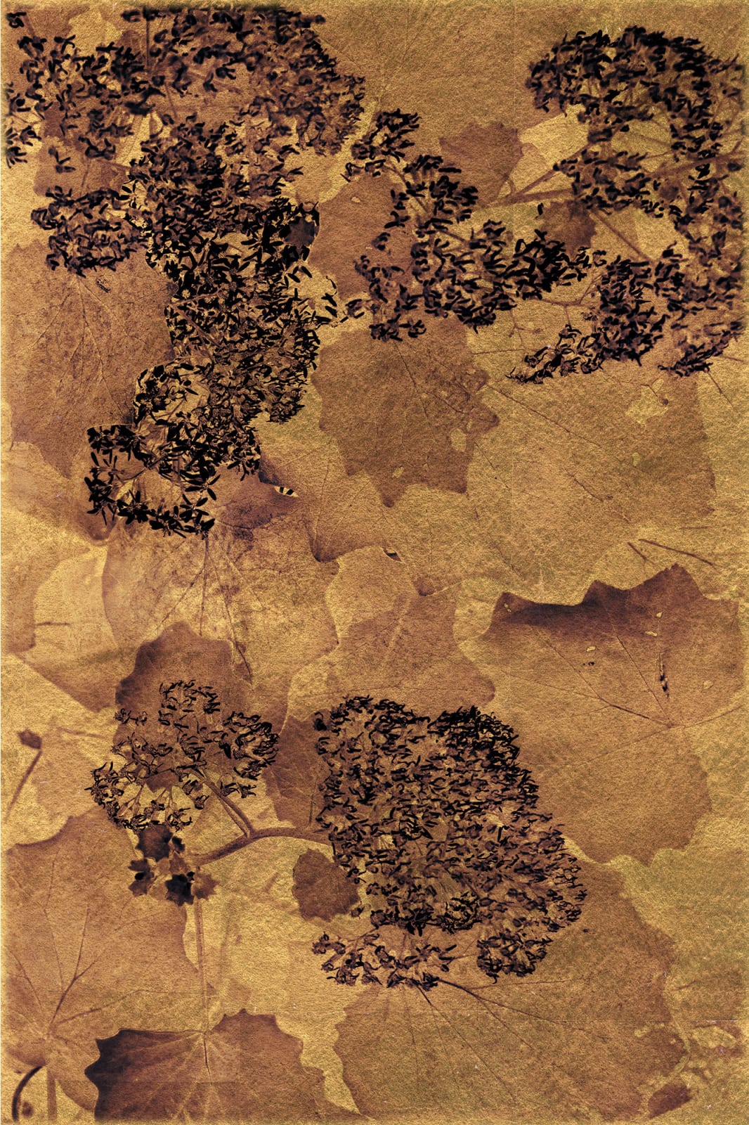 Albarrán Cabrera, The Mouth of Krishna #21, 2017