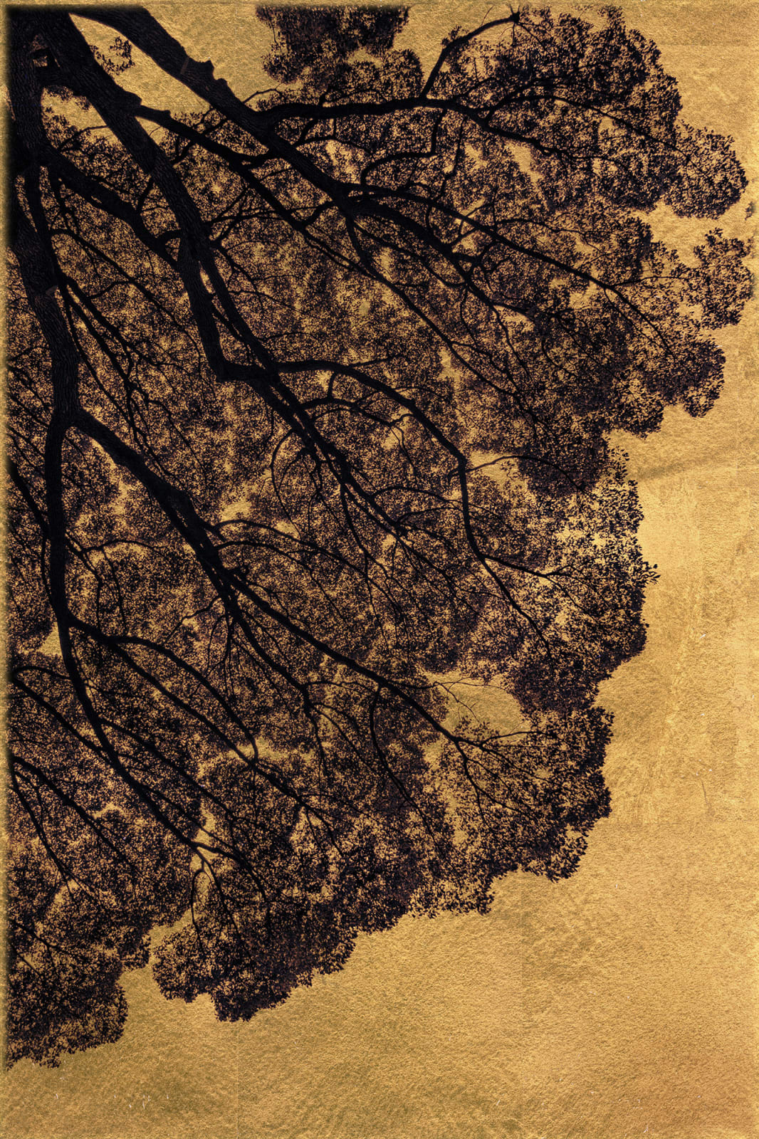 Albarrán Cabrera, The Mouth of Krishna #2005, 2014