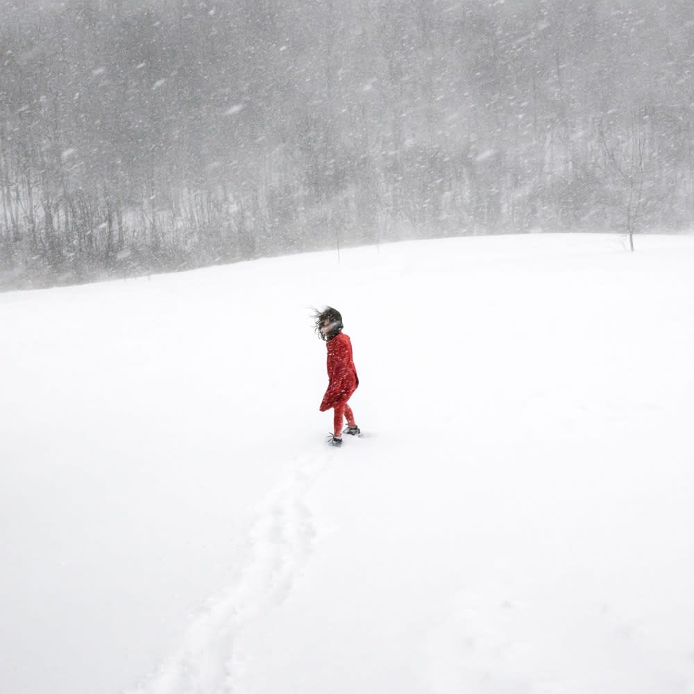 Cig Harvey, Scout in the Blizzard, Rockport, Maine, 2017
