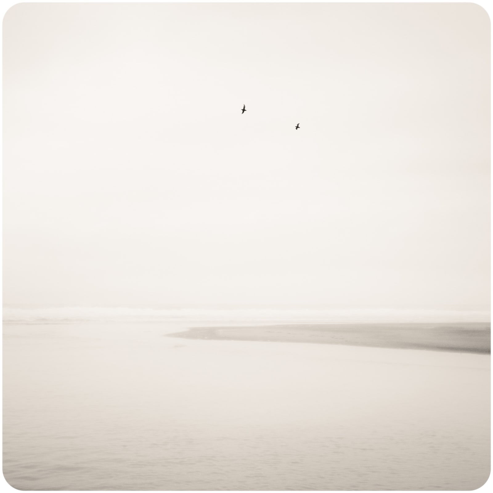 Jeffrey Conley, Two Birds in Flight, Oregon, 2020